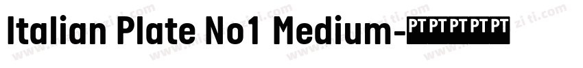 Italian Plate No1 Medium字体转换